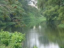 A small calm river curves between banks covered in dense green foliage.