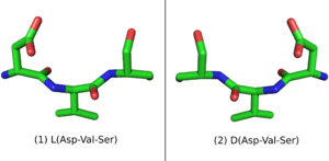 L-Peptide Asp-Val-Ser and its mirror image.