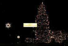 The city of Lawrenceville lights a tree up for Christmas.