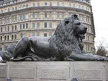 The lions at Nelson's Column