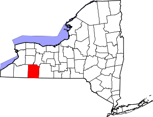 Map of New York highlighting Allegany County