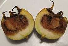 Fruit cut in half showing brown 'bletting' which makes it edible
