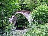 Arched bridge leads away over a rushing river. Bushes and trees crowd on all sides.