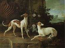 a painting of pair of small greyhound-like dogs