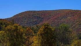 A general level mountain summit, covered in woods that show autumn color, seen from some distance below with some trees in the foreground, beneath a clear blue sky.