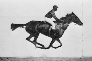 Film showing a horse running.