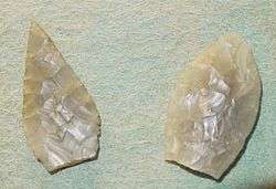 Neolithic flint arrowheads found near Selsey