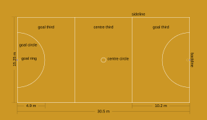 Diagram of netball court. The court is divided into thirds. Dimensions and positions are listed on the diagram.