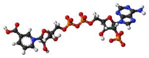 Ball-and-stick model of the NAADP molecule