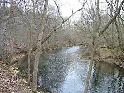 A stream curves between two banks lined with bare trees