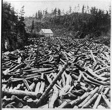 A black-and-white photograph of a woodland area with a small building in the background and what looks like a seeming river of logs in the foreground.