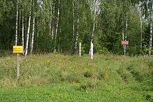 A cleared strip of land in the middle of a wooded area. In the center are two small wooden posts, one painted red and white and the other green and red. On either side are signs in Polish stating that this is the international border and that crossing it here is prohibited