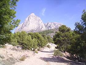 A view of Puig Campana Mountain