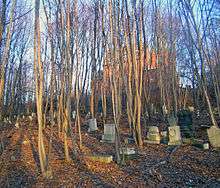 Headstones on a slope in a wooded area. A brick church building is visible at the rear through the trees