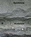 Sandstone mudstone.jpg