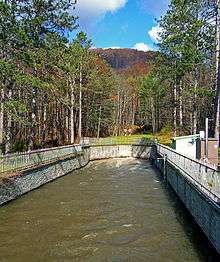 A wide concrete channel carrying brown water from underground at the rear of the image. Trees surround it on all sides; there is a small mountain in the distant background and two small structures on the right.