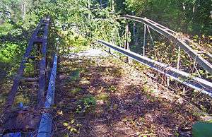 A bridge with wooden deck and iron supports covered with downed branches