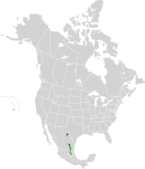 Map showing natural range of Quercus delgadoana