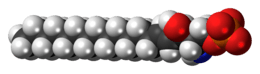 Space-filling model of the sphingosine-1-phosphate anion
