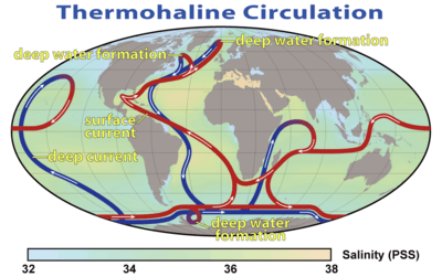 World map with colored, directed lines showing how water moves through the oceans. Cold deep water rises and warms in the central Pacific and in the Indian, whereas warm water sinks and cools near Greenland in the North Atlantic and near Antarctica in the South Atlantic.