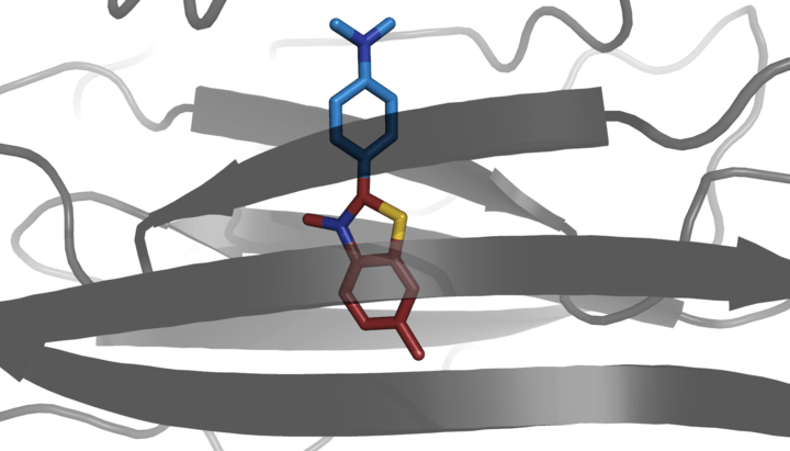 X-ray crystal structure of thioflavin T bound to an amyloid-like oligomer of β2 microglobulin