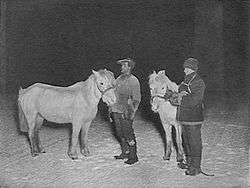  Two men stand on snowy ground, with a dark sky background, each man with a white pony. The men are dressed in heavy winter clothing. A caption reads: "Petty Officers Crean and Evans exercising their ponies in the winter".