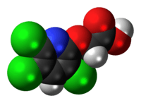 Space-filling model of the triclopyr molecule