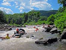 People in inner tubes wearing lifejackets in a whitewater stream just above a small drop over a rock.