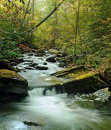 A stream flows over smooth rocks, surrounded by trees with green, yellow, and orange leaves.