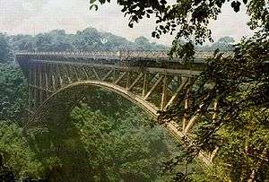 An impressive steel railway bridge above a wide tree-lined gorge.