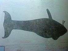 Killer whale silhouette, with two projections above shown above the blowhole.
